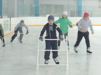 ПОСЕЩЕНИЕ ЛЕДОВОГО ДВОРЦА
